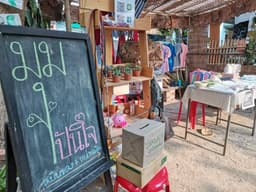 Organization gallery