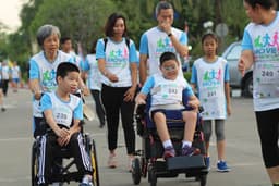 Organization gallery