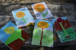 Organization gallery