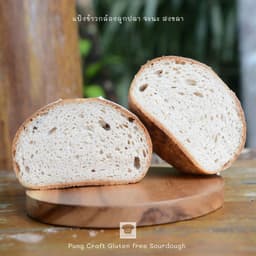 Organization gallery