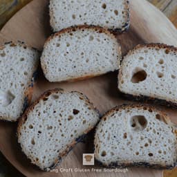 Organization gallery