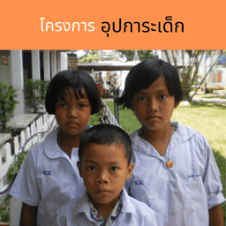 Organization gallery