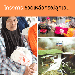 Organization gallery