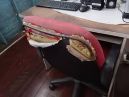 Organization gallery