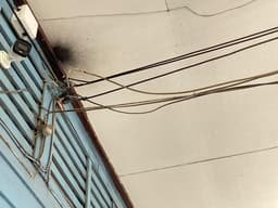 Organization gallery