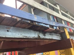 Organization gallery