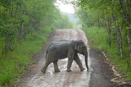 Organization gallery