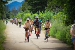 Organization gallery