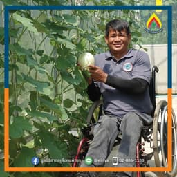 Organization gallery