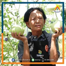 Organization gallery