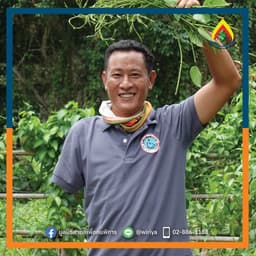 Organization gallery