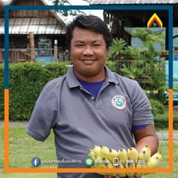 Organization gallery