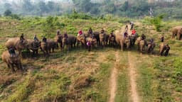 Organization gallery