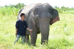 Organization gallery