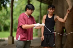 Organization gallery