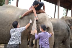 Organization gallery