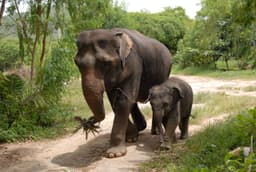 Organization gallery