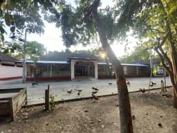 Organization gallery