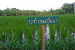 Organization gallery