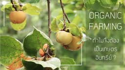 Organization gallery