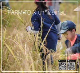 Organization gallery