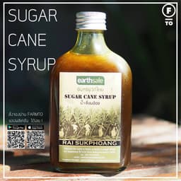 Organization gallery