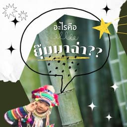 Organization gallery