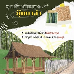 Organization gallery