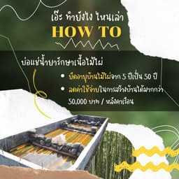 Organization gallery