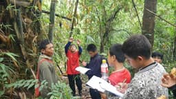 Organization gallery