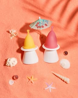 Organization gallery