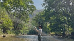 Organization gallery