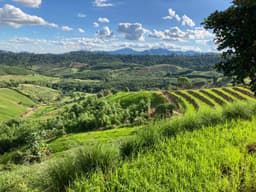 Organization gallery