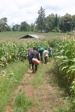 Organization gallery