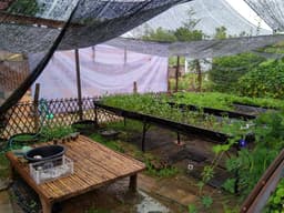 Organization gallery