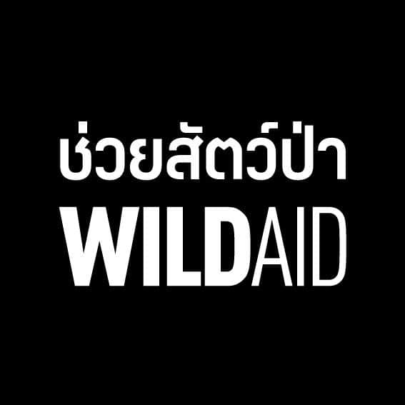 WildAid Thailand ช่วยสัตว์ป่า