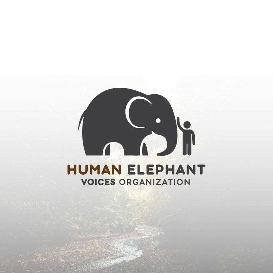 Human Elephant Voices